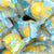 Lemonheads Wrapped 3lb