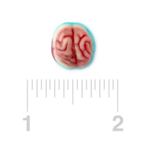 Clever Gummy Brains 2.2lb