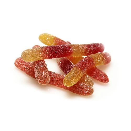 Vegan Organic Worms (10 lbs)